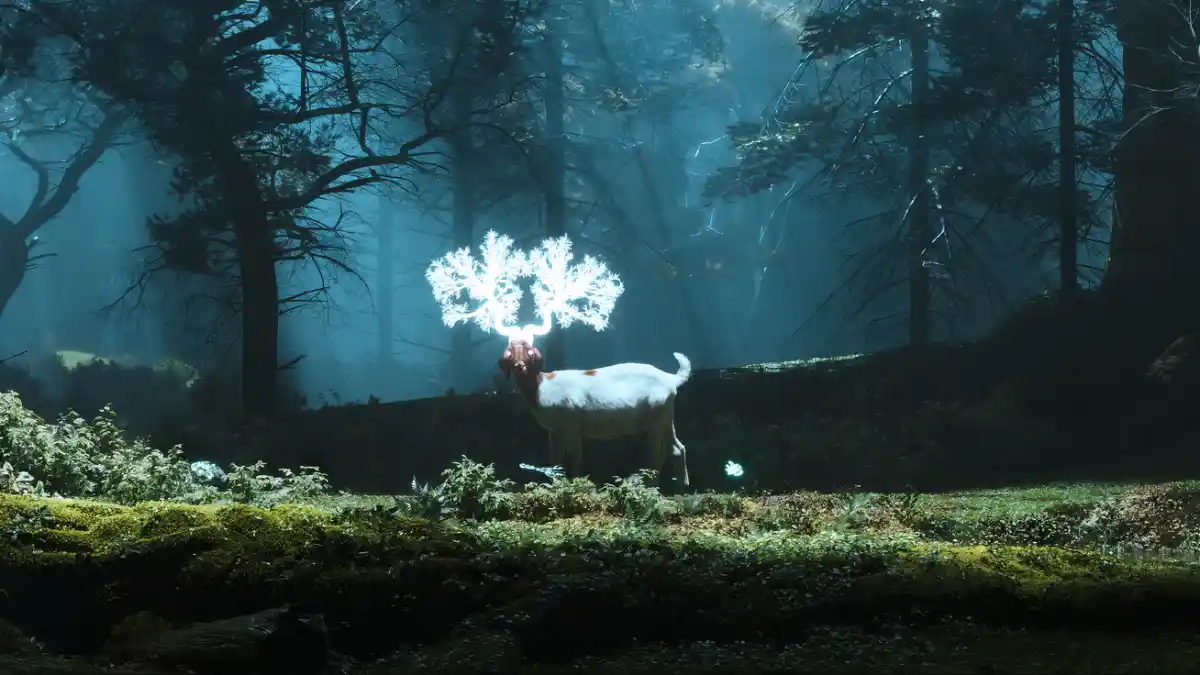 Aias Kokkalis VFX Artist - Animation Director